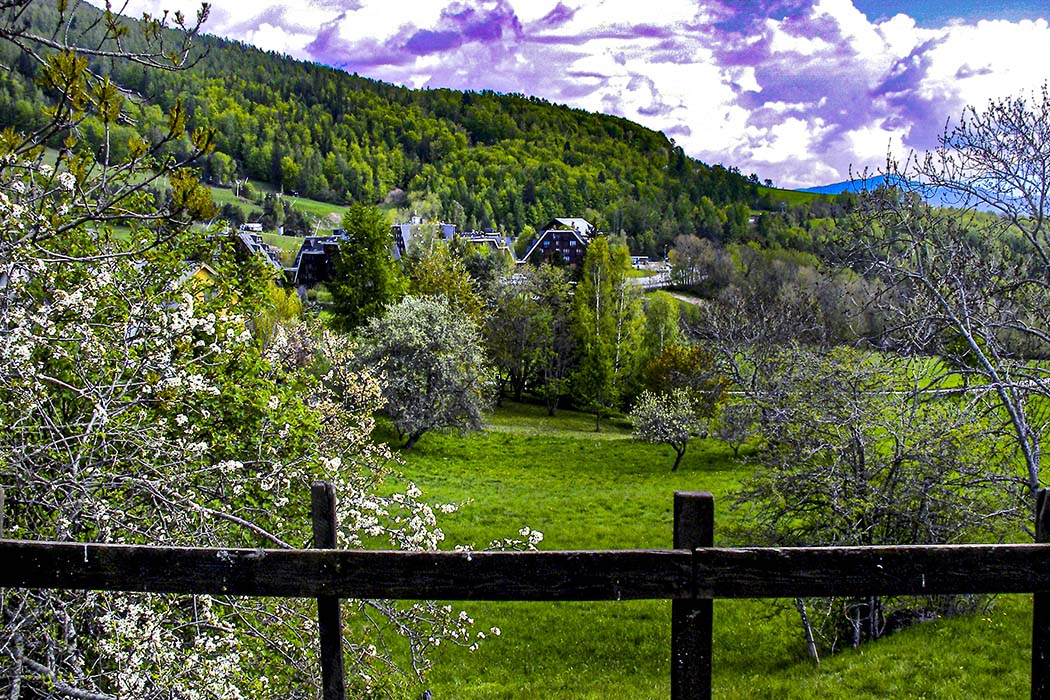 p_0001